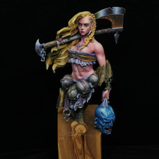 Pièce de concours catégorie confirmé Northern wind de chez Bigchildcreative