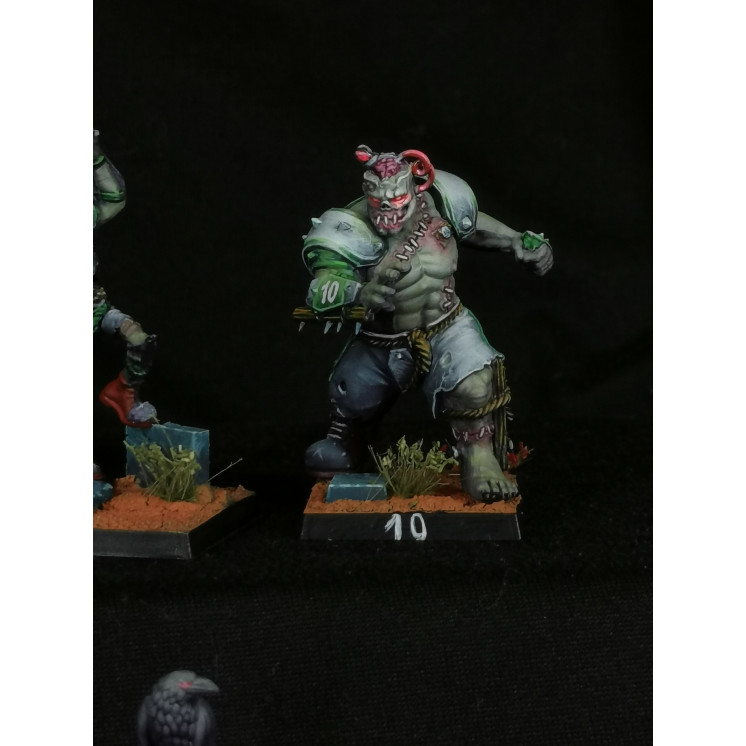 Commission peinture Team bloodbowl Necro
