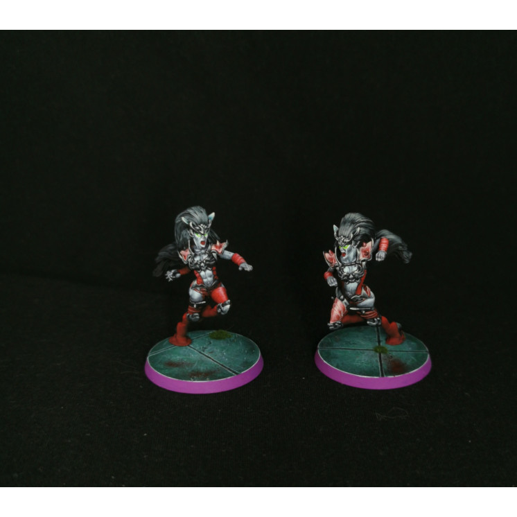 Commission peinture proxy Team bloodbowl Vampire/elfenoir Greebo games