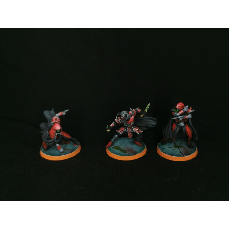 Commission peinture proxy Team bloodbowl Vampire/elfenoir Greebo games