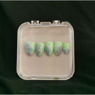 PRESS ON NAILS: PRINTEMPS