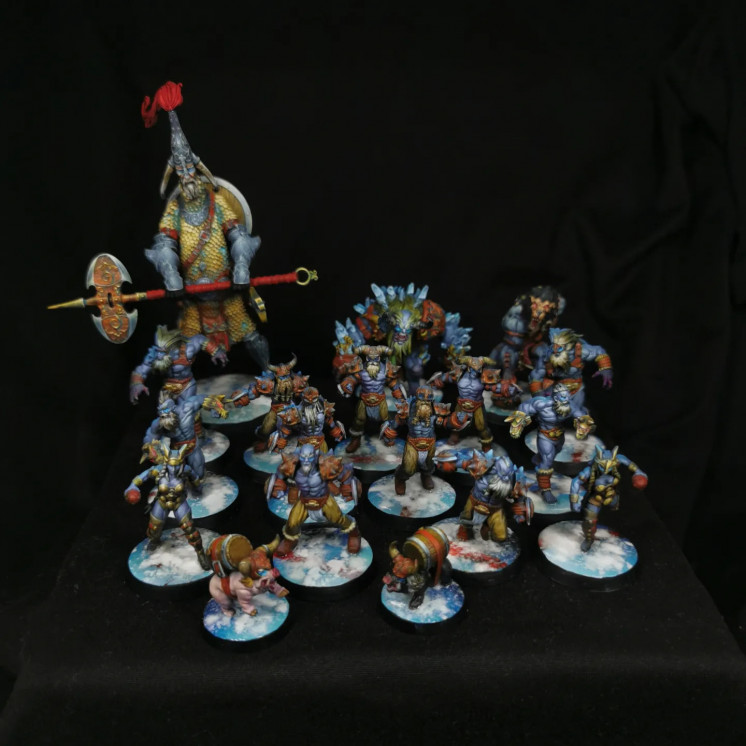 Commission peinture Team bloodbowl Nordique Proxy