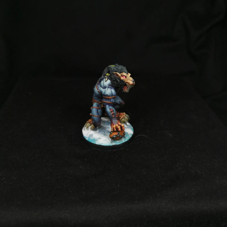 Commission peinture Team bloodbowl Nordique Proxy