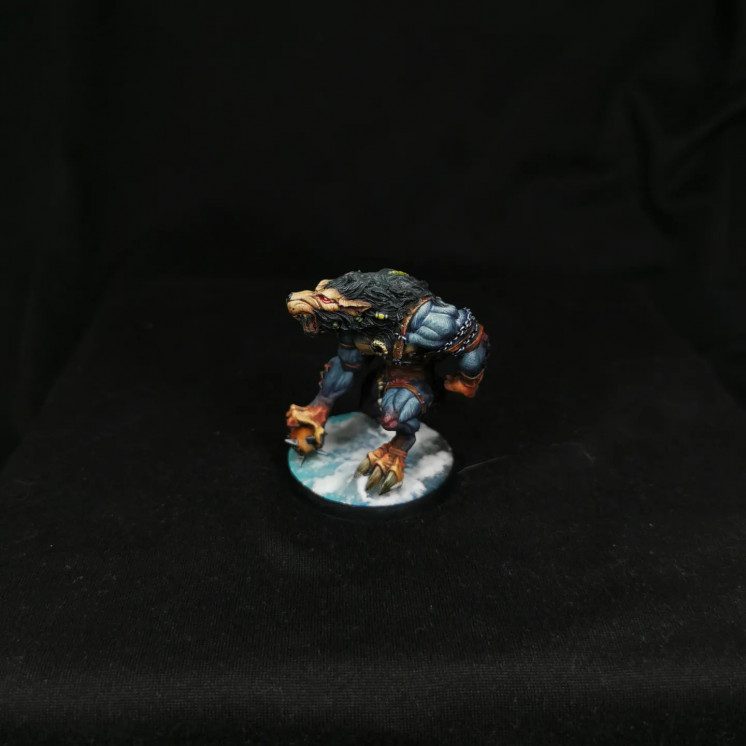 Commission peinture Team bloodbowl Nordique Proxy